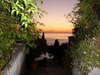 Dinas Paradise 